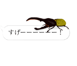 There are a bug and a fish in a frame. sticker #10325868