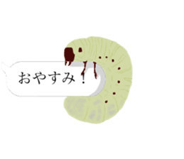 There are a bug and a fish in a frame. sticker #10325874