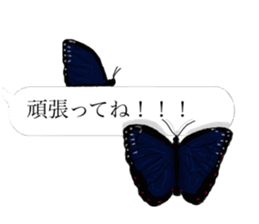 There are a bug and a fish in a frame. sticker #10325875