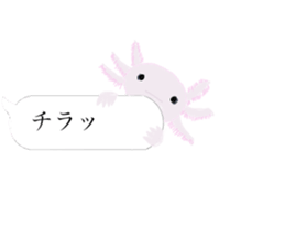 There are a bug and a fish in a frame. sticker #10325882