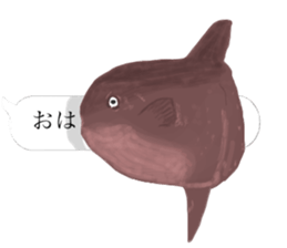 There are a bug and a fish in a frame. sticker #10325885