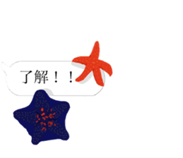 There are a bug and a fish in a frame. sticker #10325891