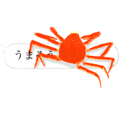 There are a bug and a fish in a frame. sticker #10325894