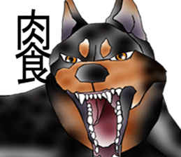 Doberman sticker #10327778
