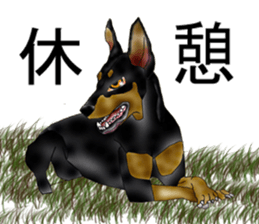 Doberman sticker #10327779
