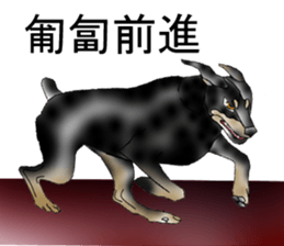 Doberman sticker #10327780