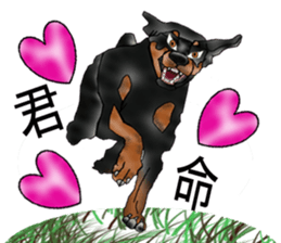 Doberman sticker #10327784