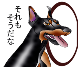 Doberman sticker #10327785