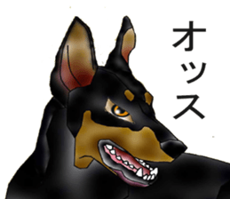 Doberman sticker #10327795