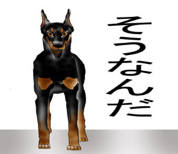 Doberman sticker #10327804