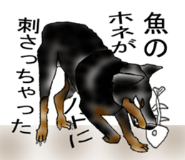 Doberman sticker #10327807