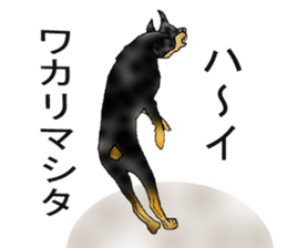 Doberman sticker #10327808