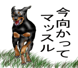 Doberman sticker #10327811