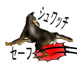 Doberman sticker #10327813