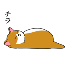 Kitty living freely sticker #10330679