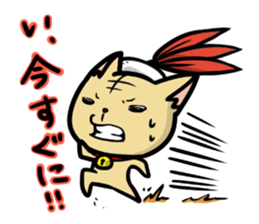 Indiaca_cat sticker #10331377