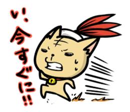 Indiaca_cat sticker #10331377