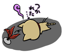 Indiaca_cat sticker #10331379