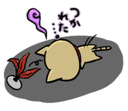 Indiaca_cat sticker #10331379