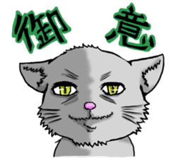 Your favorite cat sticker #10332893