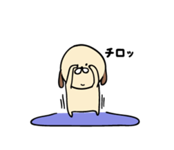 shimaneken's happy days5. sticker #10333312