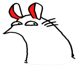 white rat 3 sticker #10333343