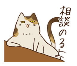 With the Uiro-cats sticker #10333627