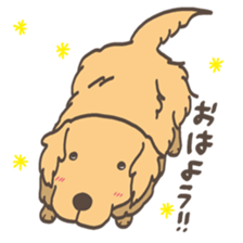 Golden Retriever...I think so. sticker #10334504