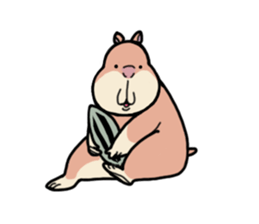 Hanasiter sticker #10334536