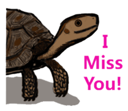 DIno San sticker #10336840