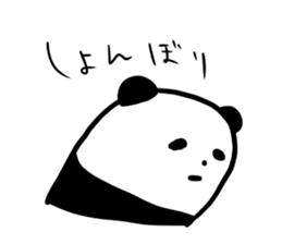 cute panda-chan sticker sticker #10337520