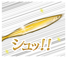 Pacific saury of gold sticker #10339861