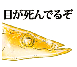 Pacific saury of gold sticker #10339882