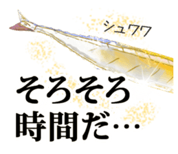 Pacific saury of gold sticker #10339891