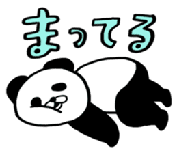 Bear Cat Panda sticker #10344040