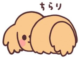 Dachshund Puppy Sticker2 sticker #10344284
