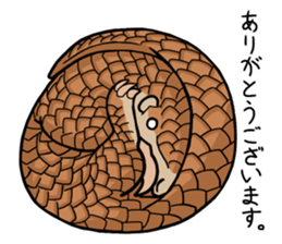 Pangolins sticker #10344420