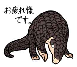Pangolins sticker #10344421