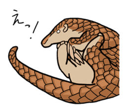 Pangolins sticker #10344425