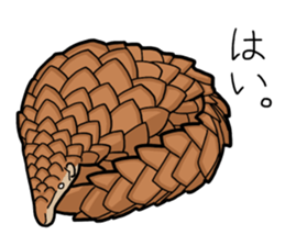 Pangolins sticker #10344427