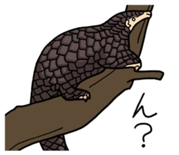 Pangolins sticker #10344428