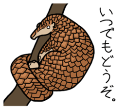 Pangolins sticker #10344433
