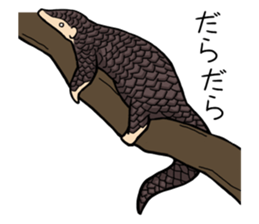 Pangolins sticker #10344434