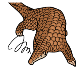 Pangolins sticker #10344436