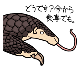 Pangolins sticker #10344437