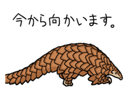 Pangolins sticker #10344440