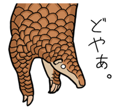 Pangolins sticker #10344450