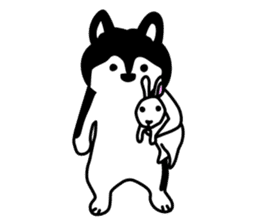 Dog & Cat. sticker #10344662