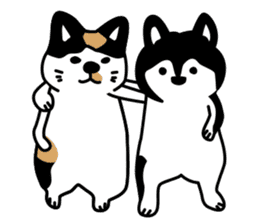 Dog & Cat. sticker #10344670