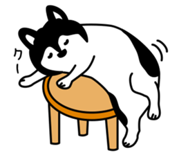 Dog & Cat. sticker #10344686